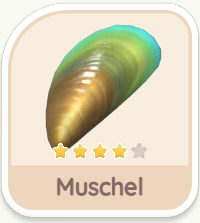 Muschel