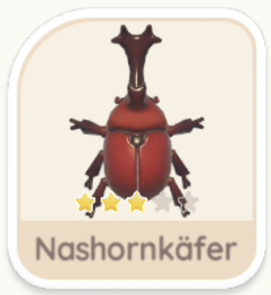 Nashornkäfer