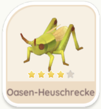 Oasen-Heuschrecke