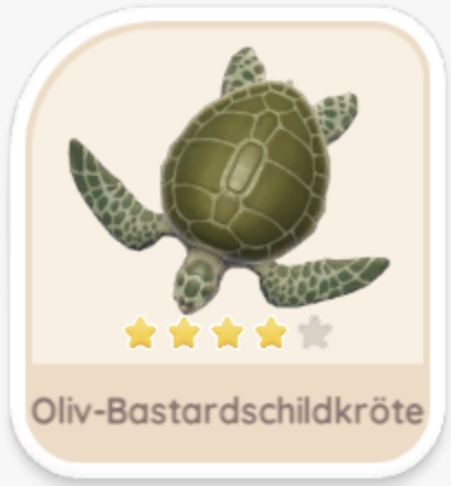 Oliv-Bastardschildkröte