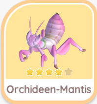 Orchideen-Mantis