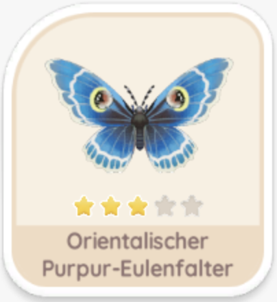 Orientalischer Purpur-Eulenfalter