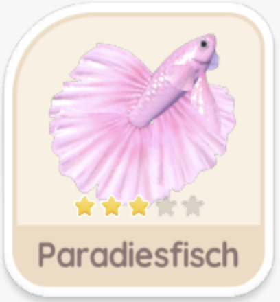 Paradiesfisch