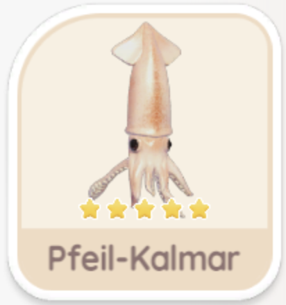 Pfeil-Kalmar