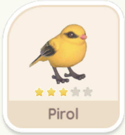 Pirol