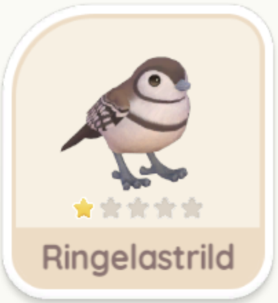 Ringelastrild
