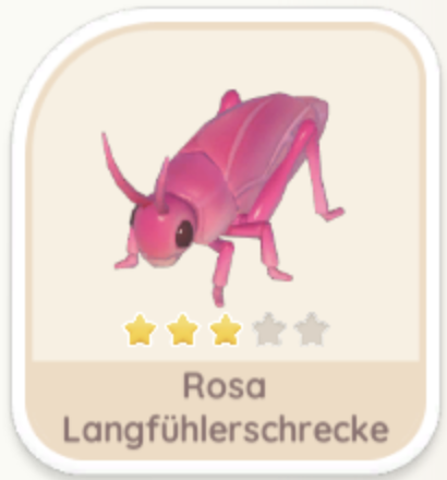 Rosa Langfühlerschrecke
