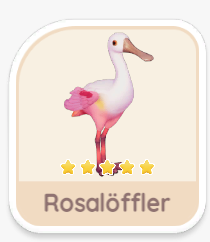 Rosalöffler