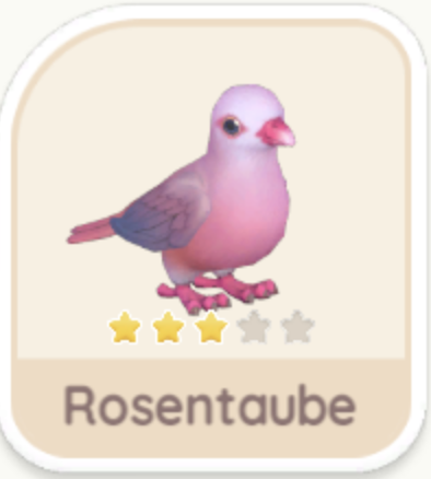 Rosentaube