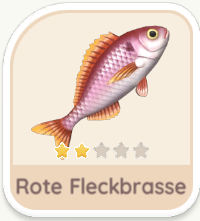 Rote Fleckbrasse
