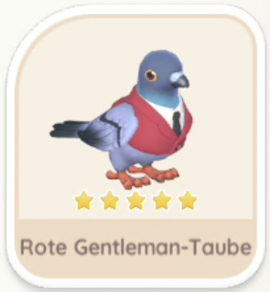 Rote Gentleman-Taube