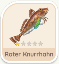 Roter Knurrhahn