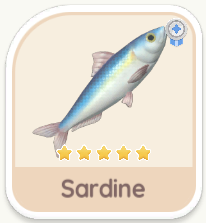 Sardine