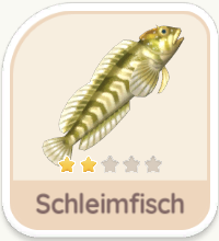 Schleimfisch