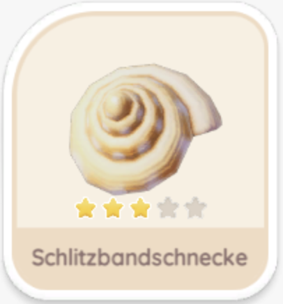 Schlitzbandschnecke