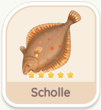 Scholle