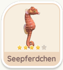 Seepferdchen
