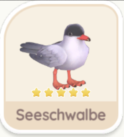 Seeschwalbe