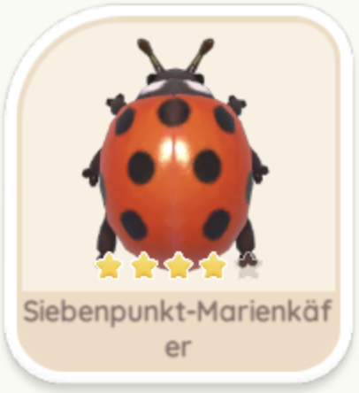 Siebenpunkt-Marienkäfer