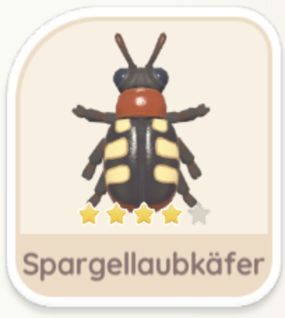 Spargellaubkäfer