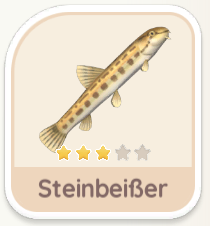 Steinbeißer