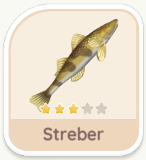 Streber
