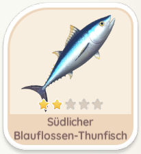 Südlicher Blauflossen-Thunfisch