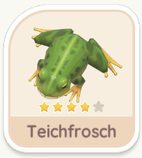 Teichfrosch