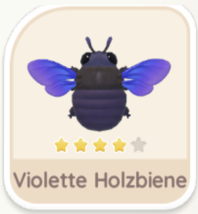 Violette Holzbiene