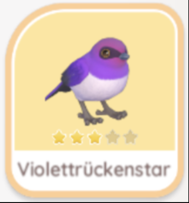 Violettrückenstar