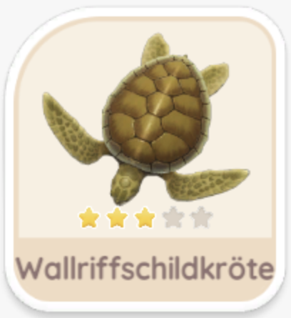 Wallriffschildkröte