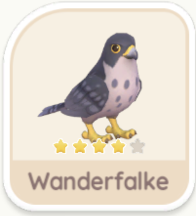 Wanderfalke
