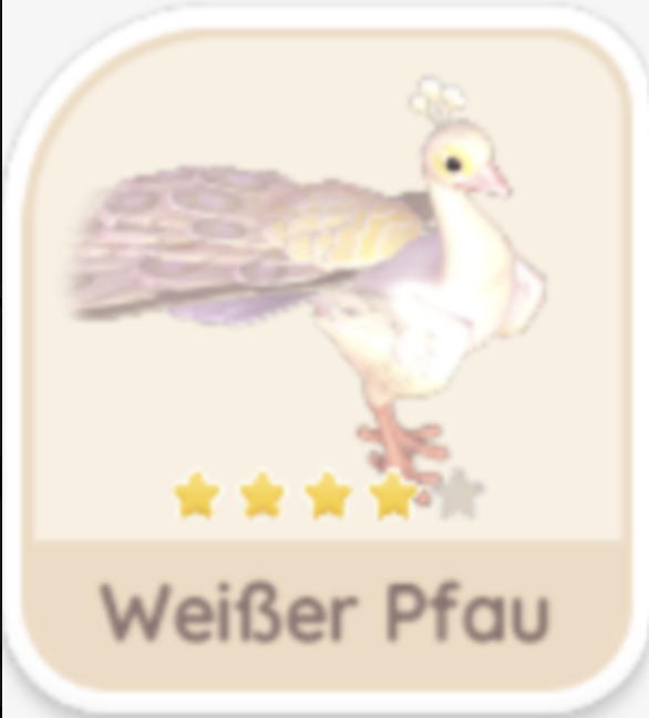 Weißer Pfau