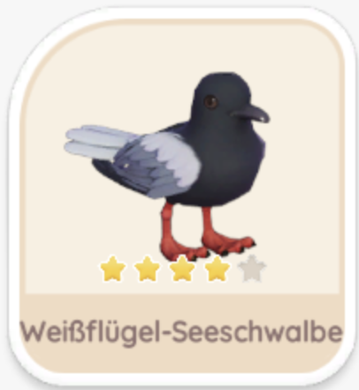 Weißflügel-Seeschwalbe