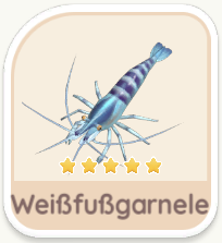Weißfußgarnele