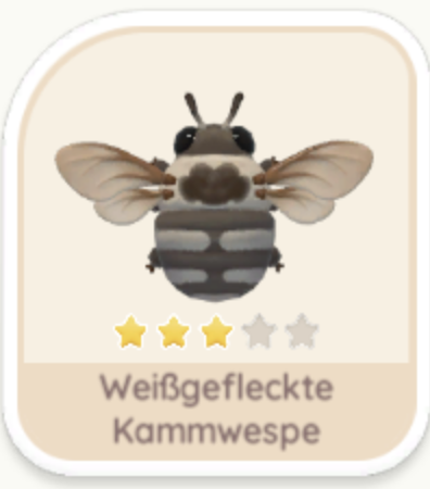Weißgefleckte Kammwespe