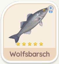 Wolfsbarsch
