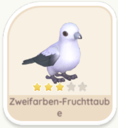 Zweifarben-Fruchttaube