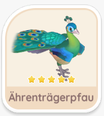 Ährenträgerpfau